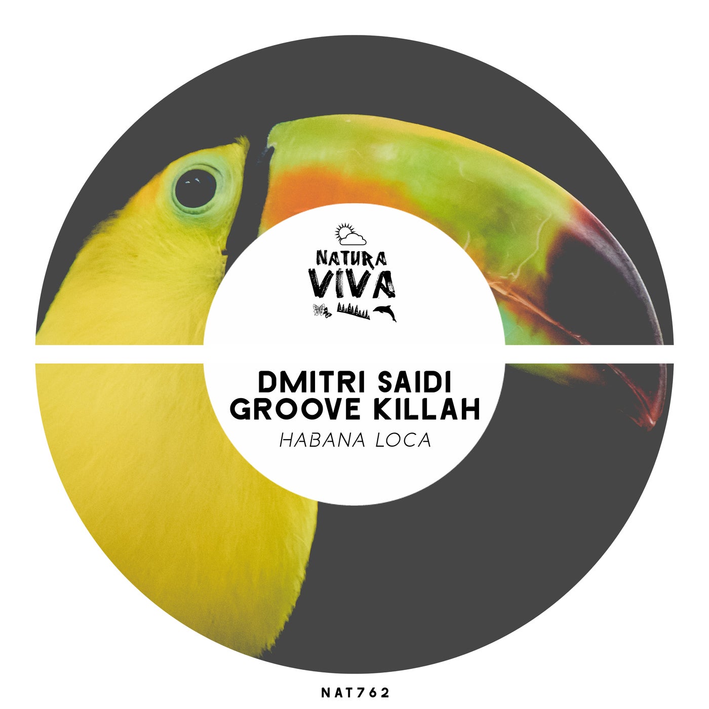 Dmitri Saidi, Groove Killah – Habana Loca [NAT762]